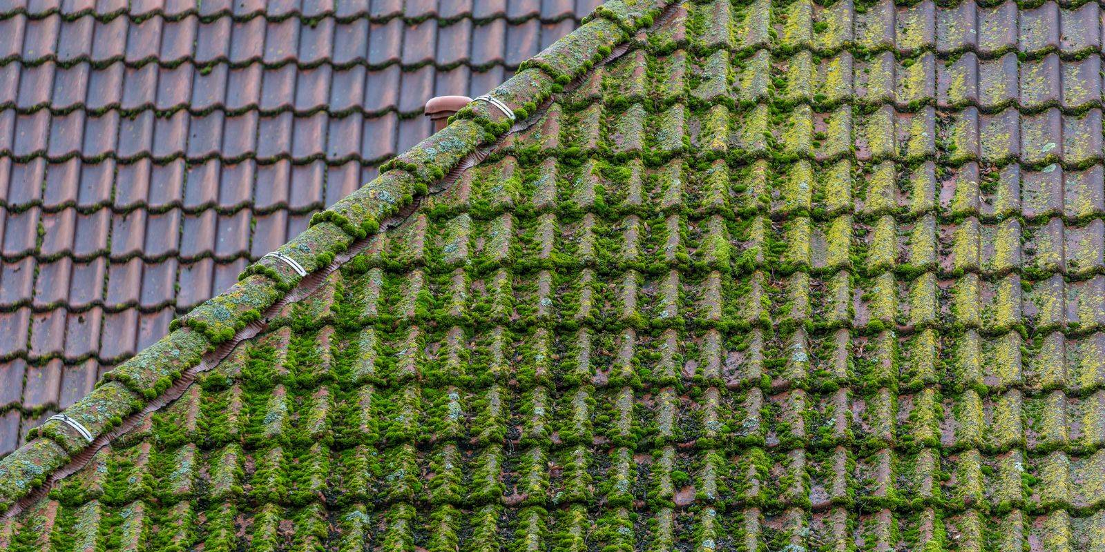 Toiture éclatante à Plaisance-du-Touch