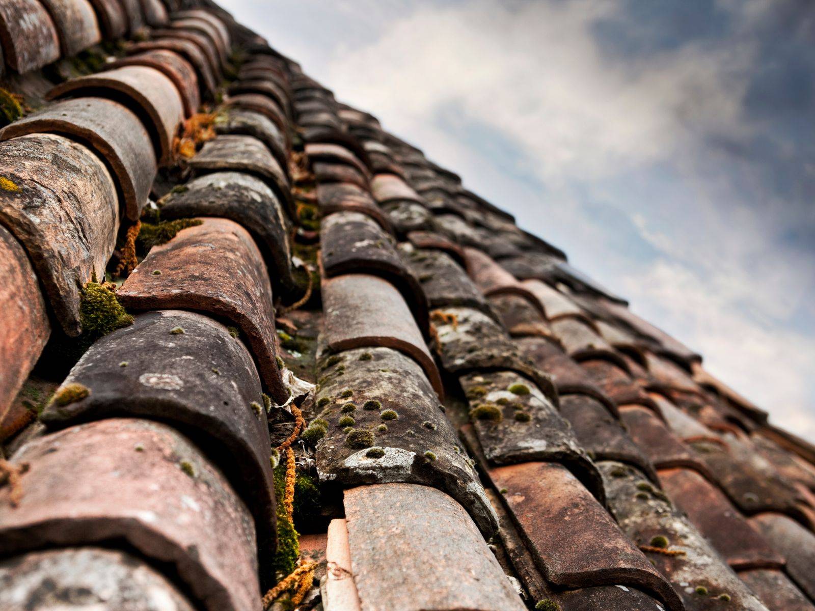 Toits propres à Toulouse