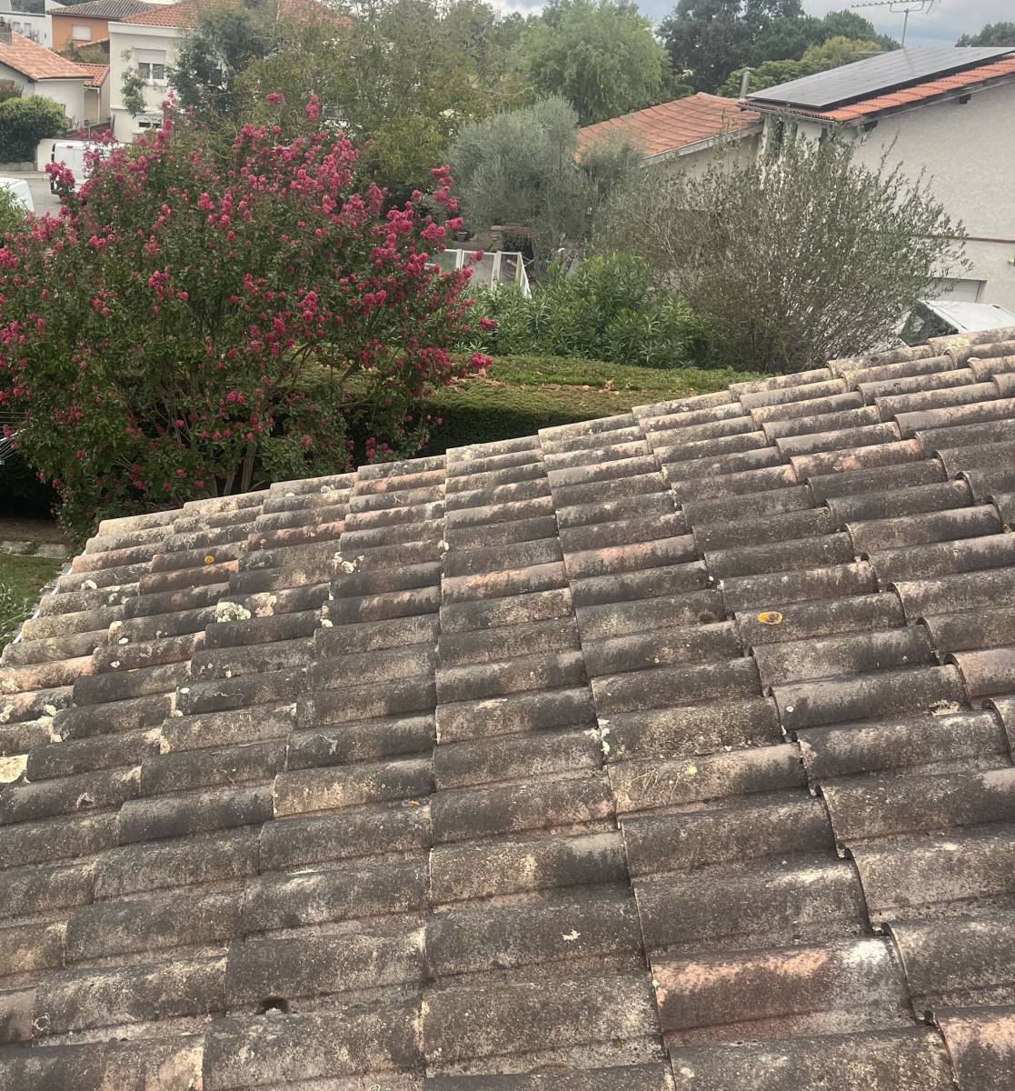 Toiture revitalisée à Tournefeuille