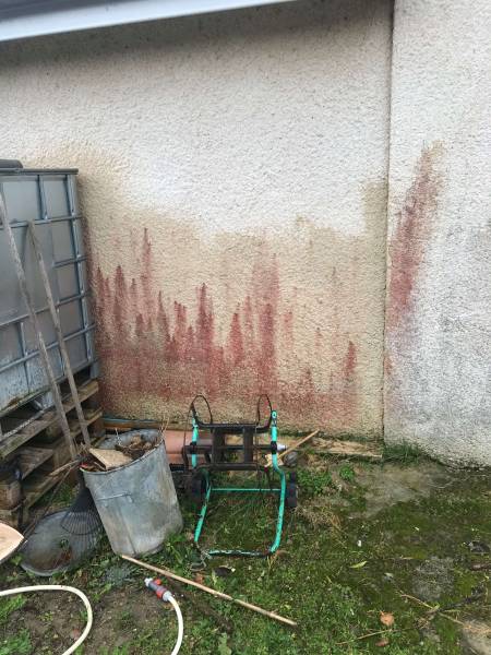 Rénovation maison à Blagnac