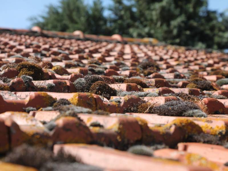 Nettoyage toiture Colomiers efficace