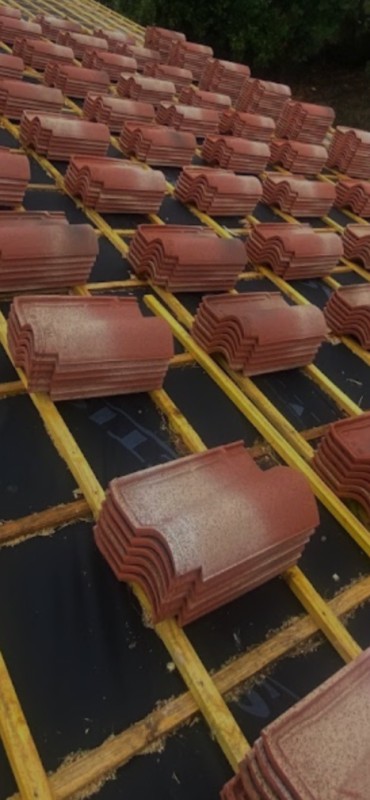 Toit végétalisé moderne