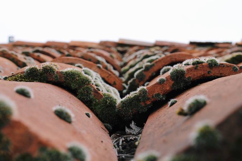 Toits étincelants à Beauzelle