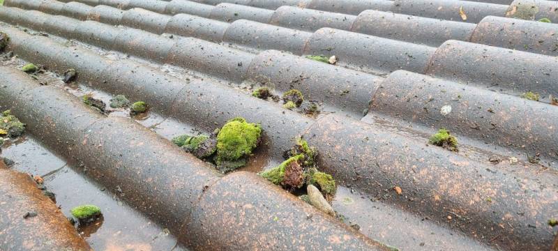 Démoussage toiture à Pin Balma