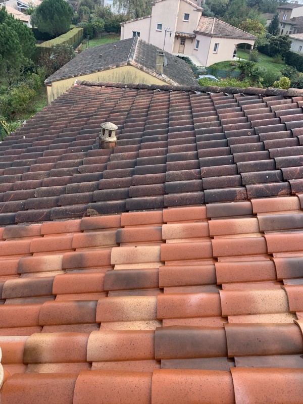 Toitures toulousaines protégées durablement